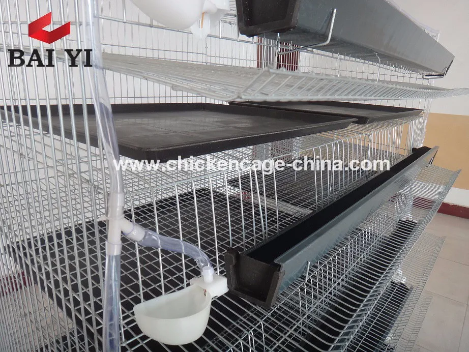 Baiyi Brand Wire Mesh Quail Cage For Sale With Automatic Water System