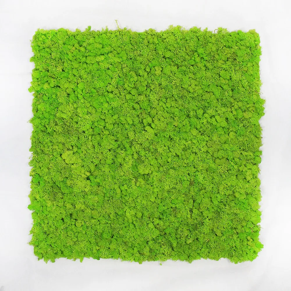 New Fashion Decorative Green Artificial Moss Plant For Home Garden ...