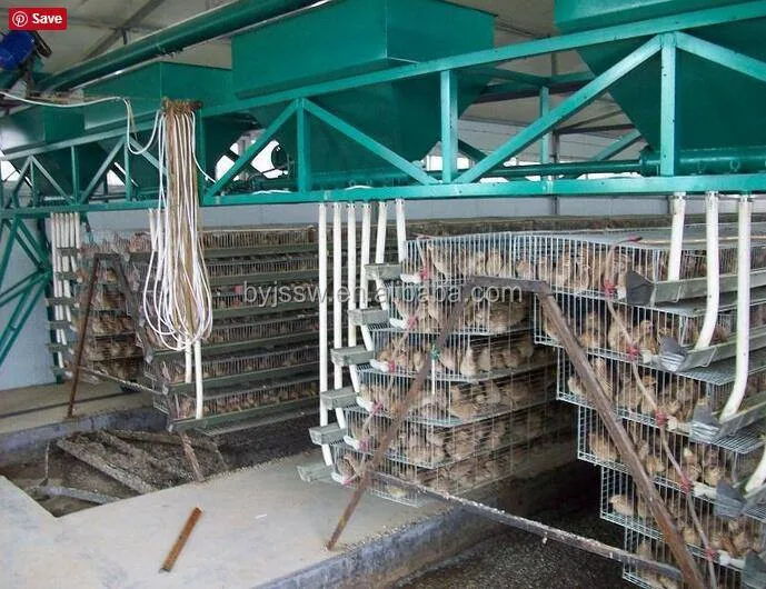 New Years Discount Commercial Quail Cage For Sale Philippines Buy