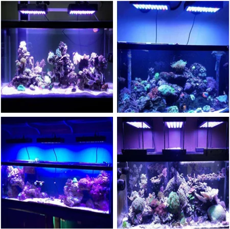 55x3W dimmable QTY:2-120W LED Aquarium Light high flux and penetration 