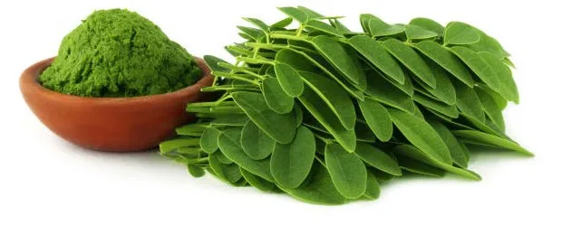 Moringa