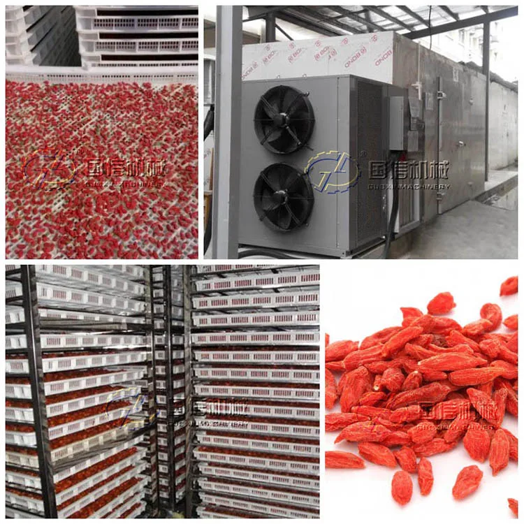 goji berry drying machine