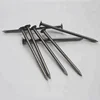 daily use Common Nail