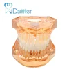 high quality soft gum with removable teeth without hinge