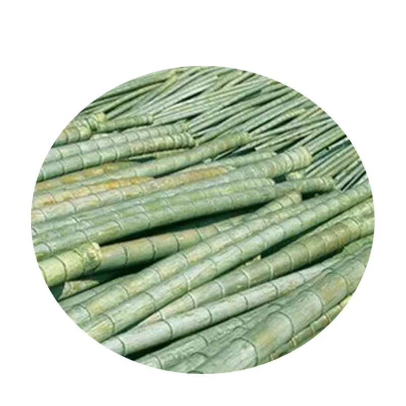 Ecofriendly Tcf And Ecf Bleached Bamboo Pulp For Tissue Paper
