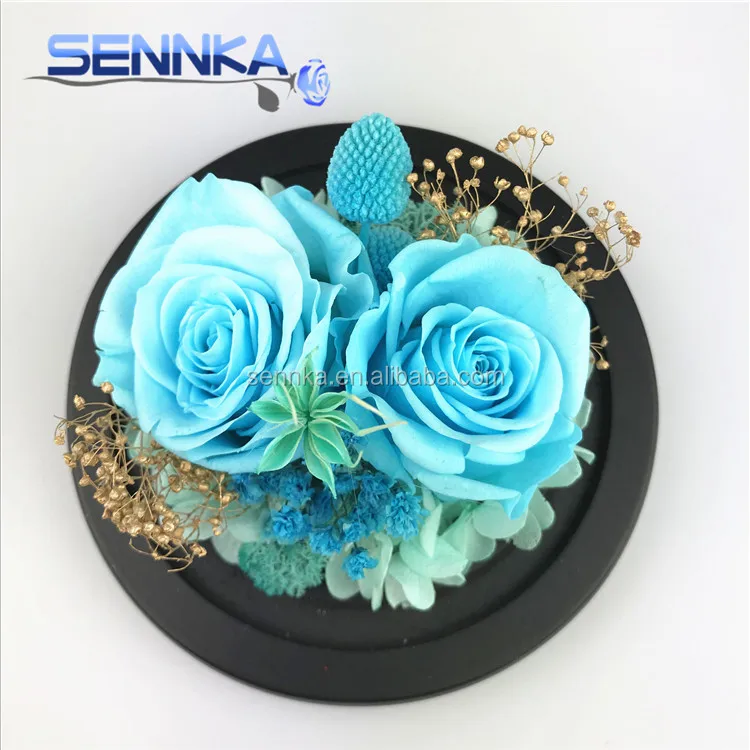 roses preserved in glass