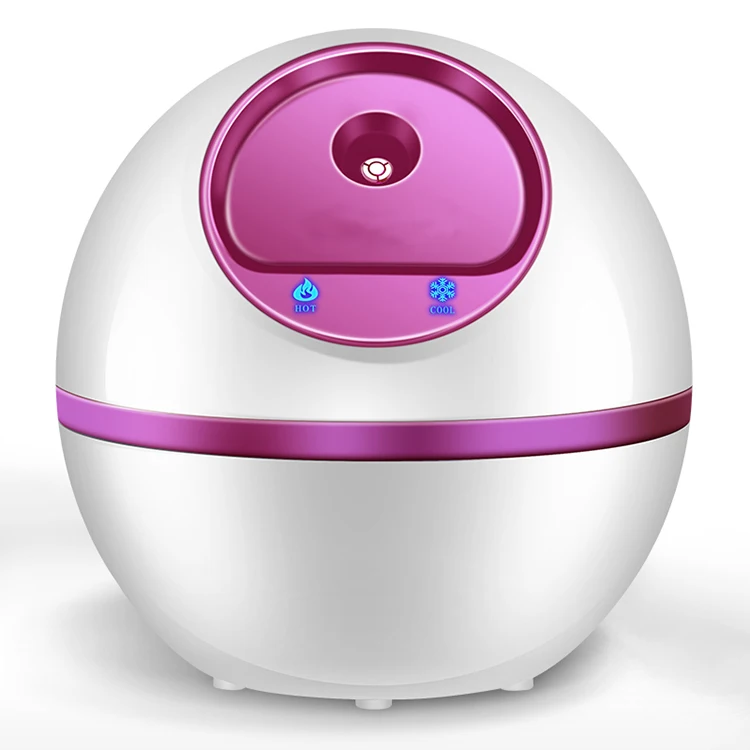 Facial Steam Vaporizer (2).jpg