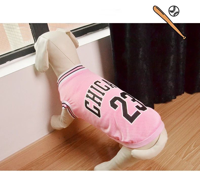 Jersey Dog Clothes (1).jpg
