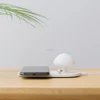 /product-detail/smart-mushroom-bedside-lamps-with-wireless-charger-60791696008.html