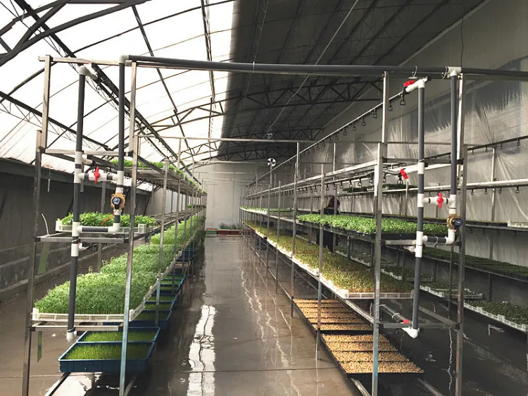 TB2eDFlfXXXXXbHXpXXXXXXXXXX_!!2595775703