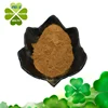 Factory direct supply 100% natural cacao extract powder