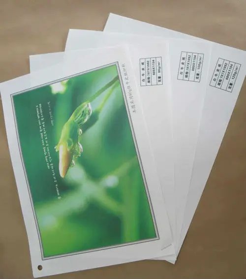 Supply all kinds of a4 size photocopy paper