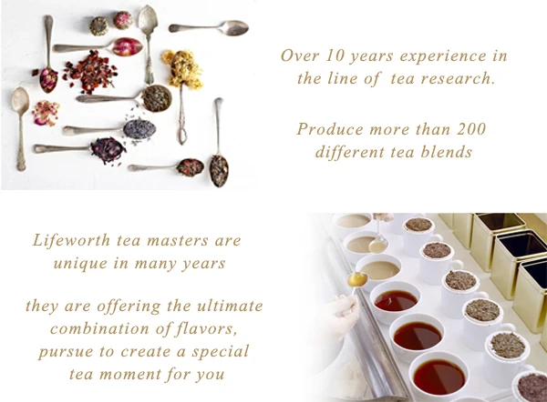 Lifeworth chinese loose leaf green tea - 4uTea | 4uTea.com