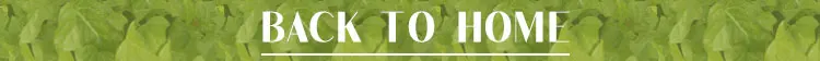 Back-to-home.jpg