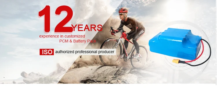 lipo 自転車用 24vバッテリー