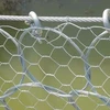 Galvanized hexagonal wire netting /chicken coop wire mesh / plastic coated chicken wire mesh