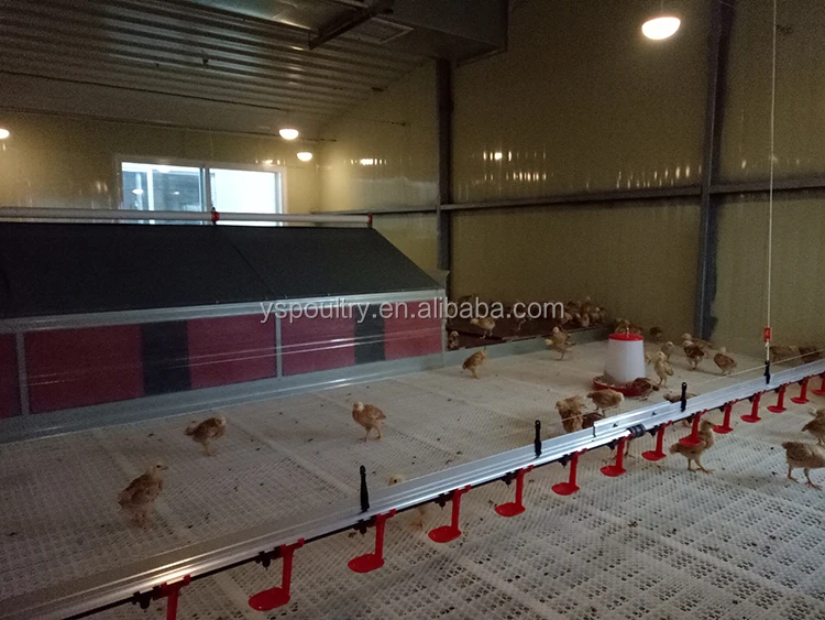 ground feeding system (12).jpg