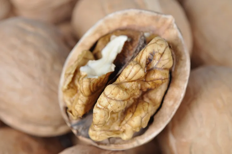 China Red Date With Walnut Raw Meat Nuts Exporters