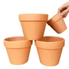 Naturale design Terracotta ceramic flower pot kinds of succulent plants pot to choose