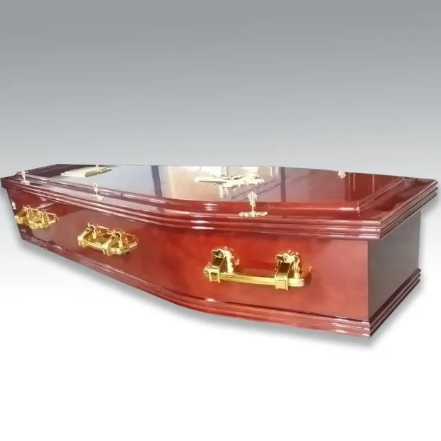 How Much Is A Casket In South Africa South african foreign minister