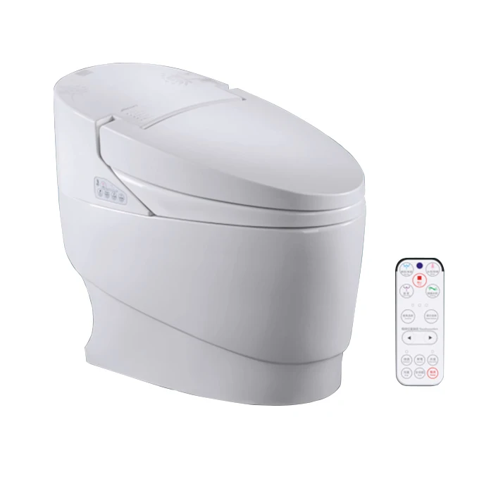 Toilet Builtin Bidet Japanese Toilet Combination Toilet Bidet Buy