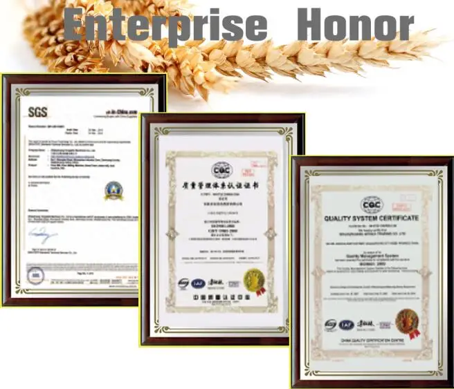 100T maize milling machine.jpg