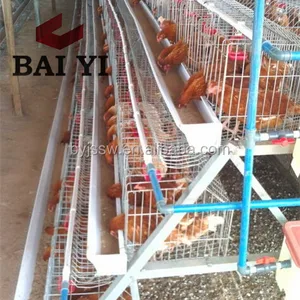 Chicken Cage In Tamil Nadu Chicken Cage In Tamil Nadu Suppliers And