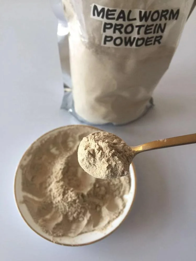 Healthycare Supplement Mealworm Protein Powder Buy Food Grade Mealworm Protein Powder,Human
