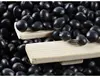 High Quality organic Big Black Beans with yellow kernel/ black soybean with green kernel factory price