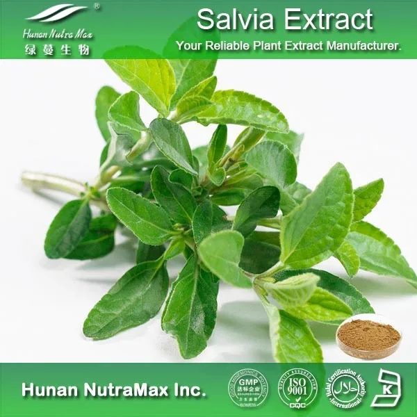 Salvia extract. Salvia extract