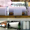 looking for raw materials Tissue Paper Jumbo roll produce 2 ply facial tissue with 14 gsm white Toilet Jumbos Virgin Hand towel