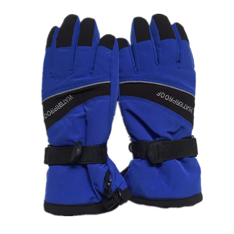 ski gloves.JPG