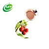 Free sample rich vitamin c fruit camu camu extract