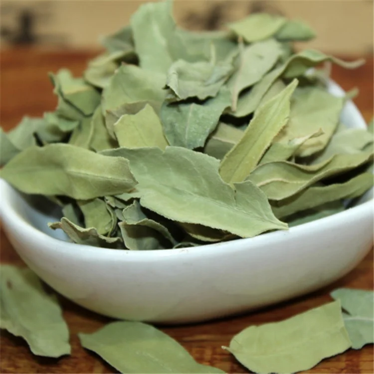 Chinese Natural Apocynum venetum leaf /bluish dogbane leaf /kender leaf tea on sales - 4uTea | 4uTea.com