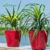 logo painted flower pots japanese curved gold pp selfwatering plant flower pot