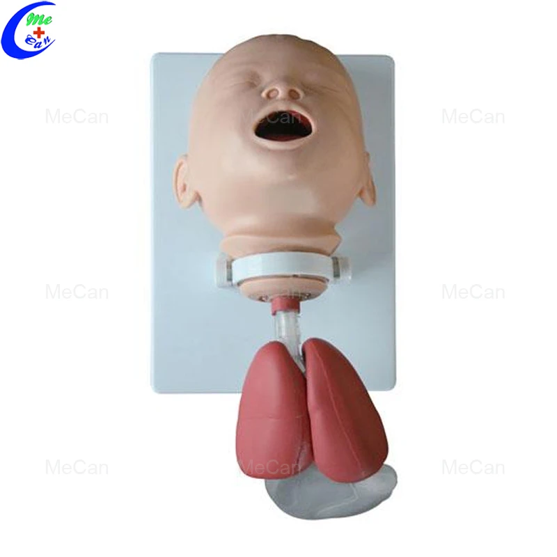 Infant Intubation Training Model