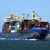 Shipping Agent/ Forwarder to Egypt