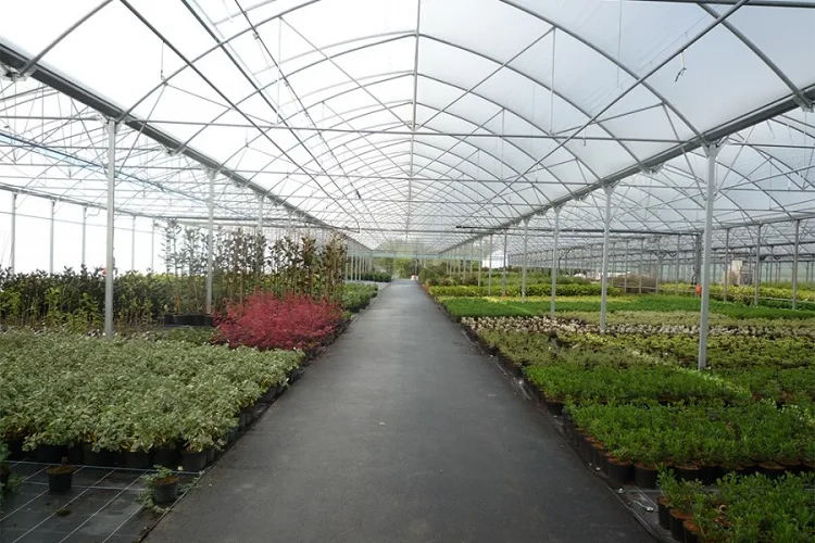 9-6-m-wide-greenhouse (1).jpg