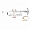 Eb/C key Trumpet /Sliver Trumpet