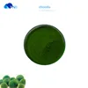 HNB manufacturer macro algae powder QUALITY ENSURED wholesale price micro algae oil in bulk