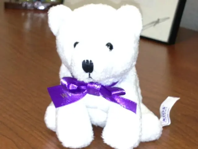 Black White Color Plush Dalmatian Dog Stuffed Spot Dog Plush