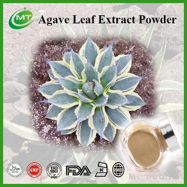Agave Americana Leaf Extract/agave Americana Extract/agave Americana
