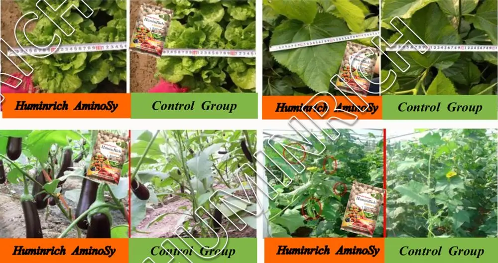 Huminrich Mempercepat Pertumbuhan Tanaman Pupuk Asam Amino Kompleks Humate Buy Kompleks Asam Amino Pupuk Mempercepat Pertumbuhan Tanaman Pupuk Humat Asam Amino Kompleks Huminrich Mempercepat Pertumbuhan Tanaman Humat Pupuk Kompleks Asam Amino