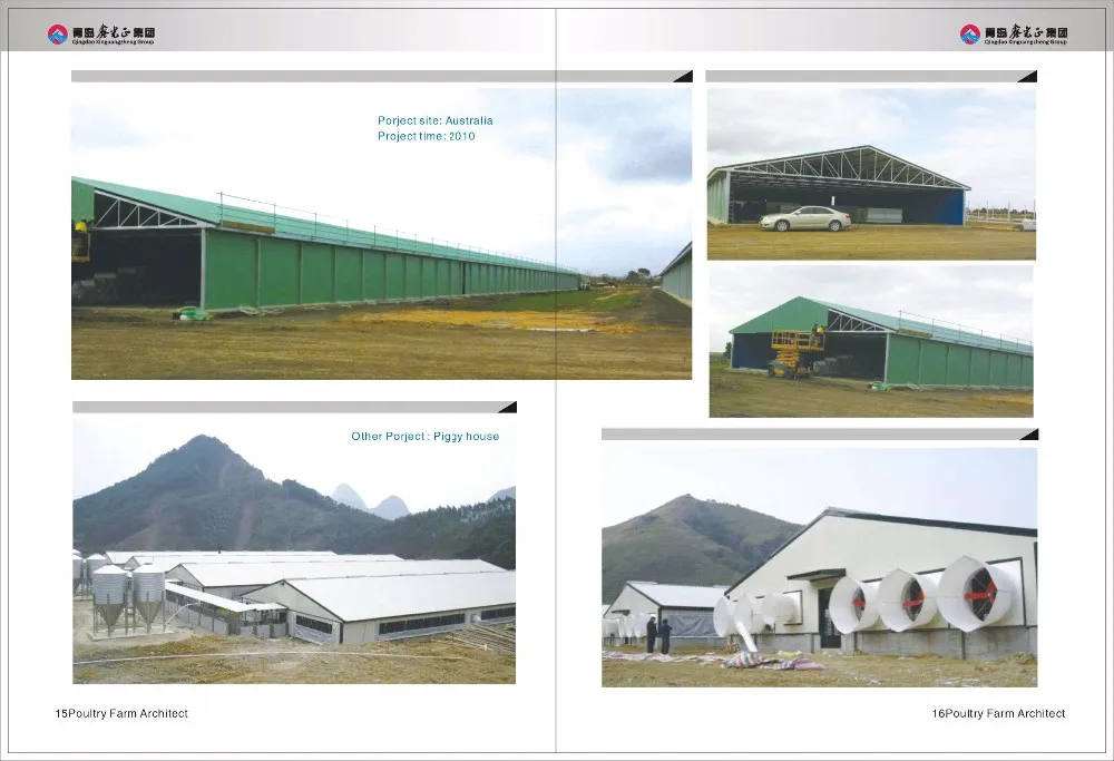 full equipment with low price steel structure Layer and broiler chicken poultry house building manufacturer in China