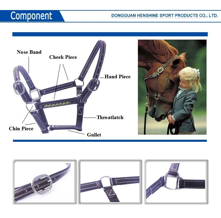 Horse Accessories Fancy Nylon Horse Halter Manufacturer Latest Collection Of Purple Nylon