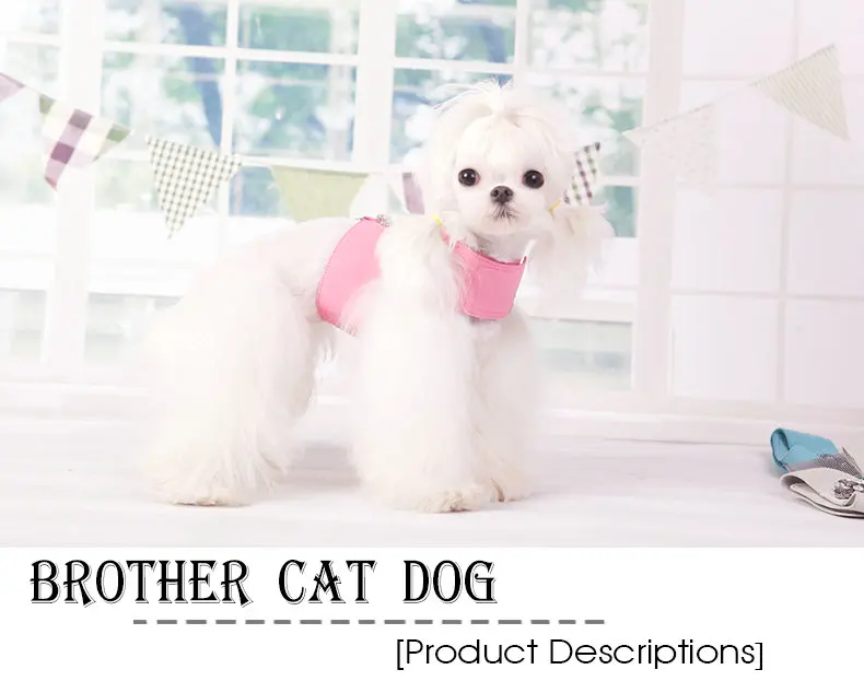 Small Kitten Cat Teddy dog accessories Soft Suede Fabric Fashion jewels puppy Dog Harness with leash set