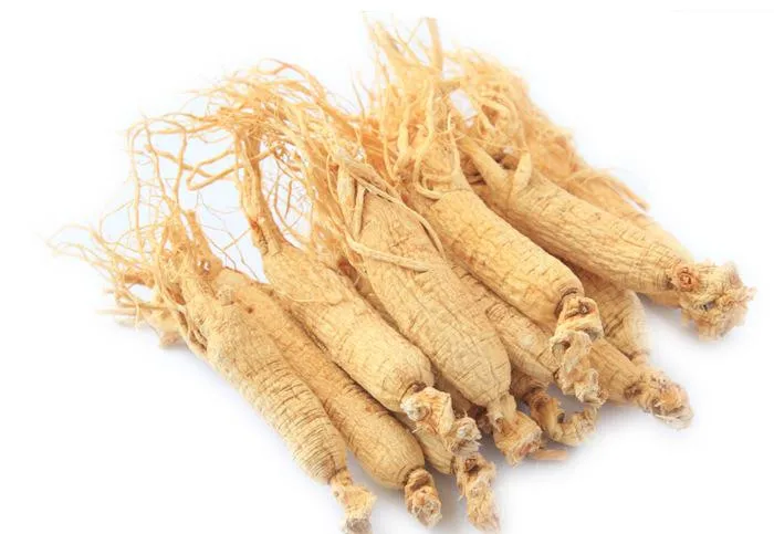 gold manufacturer supply with panax ginseng kianpi pil powder