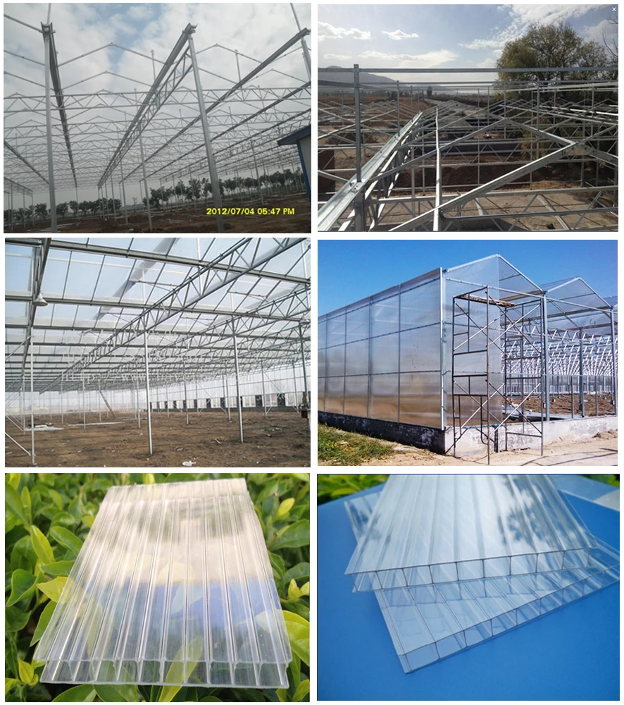 Sell Used Polycarbonate Greenhouse For Agriculture Buy Polycarbonate
