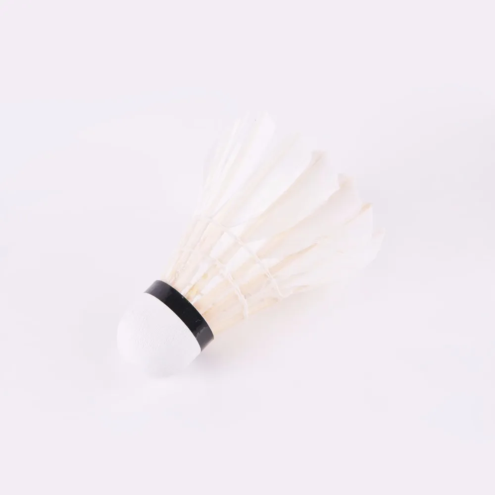 badminton shuttlecock