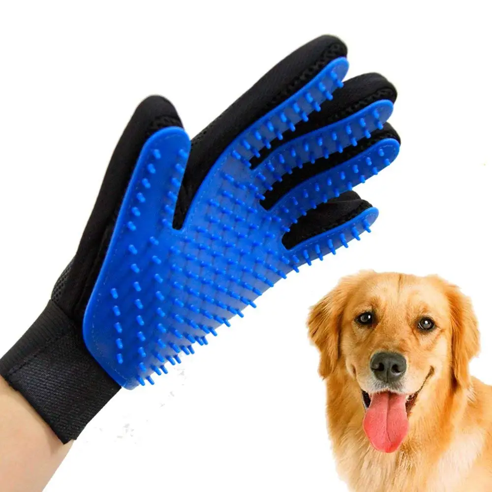 glove 6